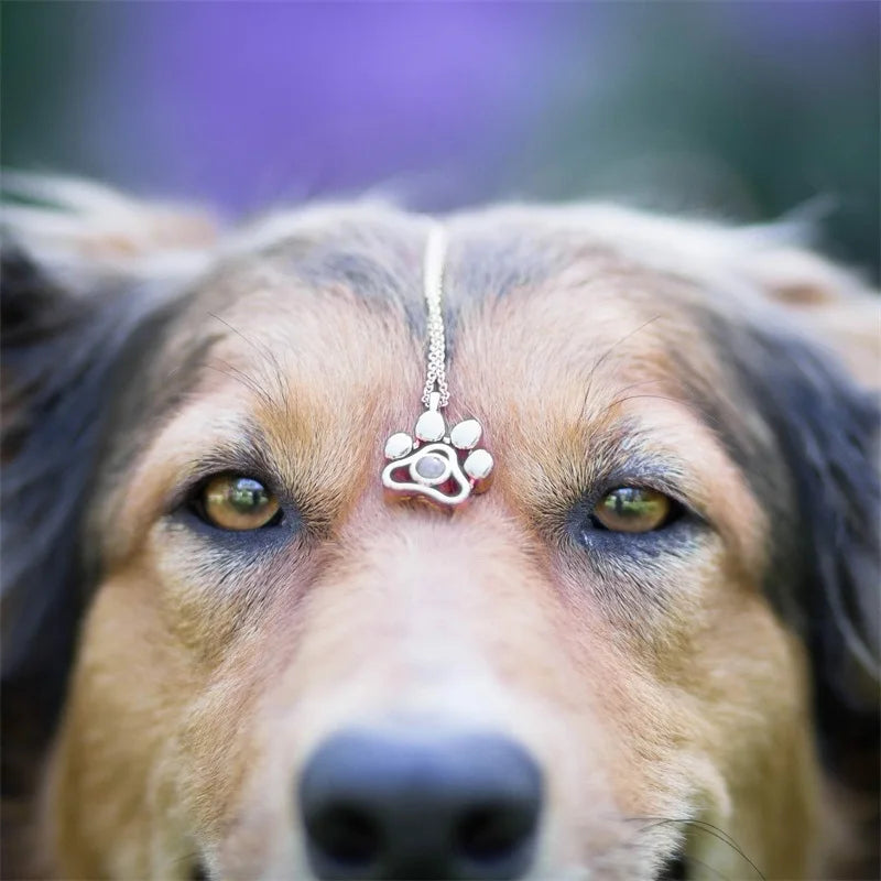 Custom Photo Projection Pet Paw Necklace